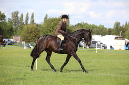 W36_2472 2026