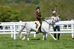 H19_0717 2026