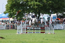 Showjumping Accumulator