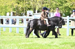 42 TSR M&M Lead Rein