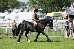 C33_0908 2026