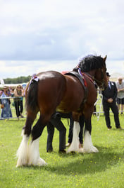 E36_1004 2026