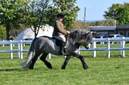CH19 M&M Ridden Silver Medal Championship