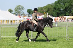 C33_0802 2026
