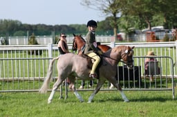 C33_0577 2026