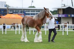 H44_0015 2026