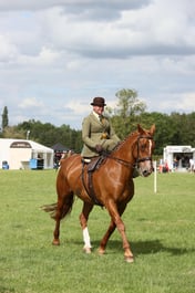 E36_2311 2026
