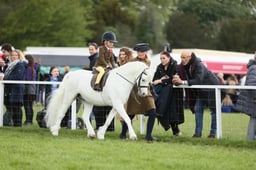 E30_3595 2026