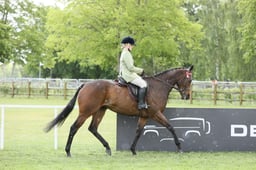 21 RoR Ridden Flat