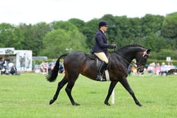 H36_8406 2026