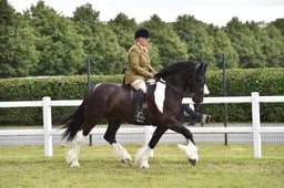 CLH139 Ridden PieSkew Horse