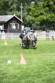 D42_1787 2026