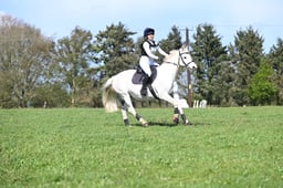 132 Smashing Iris