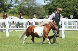 Z41_1522 2026
