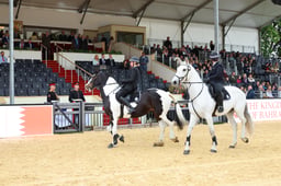 H29_6356 2026