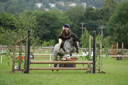 Hereford WHP Ring 1