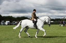 E36_0690 2026
