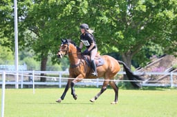 B32_1033 2026