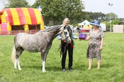 E34_2096 2026