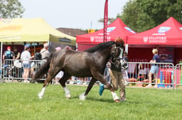 E34_1446 2026
