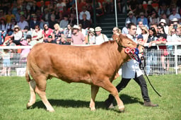 D42_2931 2026