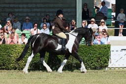 S61_0686 2026