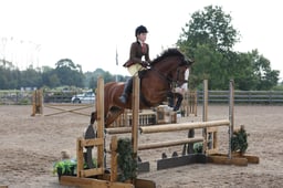 12 M&M Working Hunter RIHS Qualifier 143CM