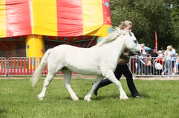 E34_1464 2026