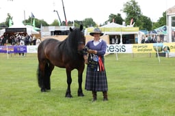 M44_1070 2026