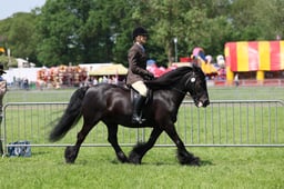 C33_1461 2026