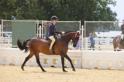 E65_1247 2026