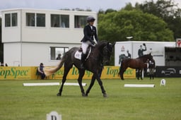 60 MSHI GRENNANSTOWN HIGH HOPES