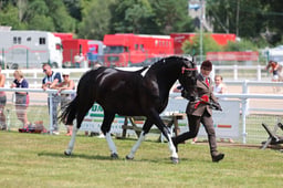 Z68_0692 2026