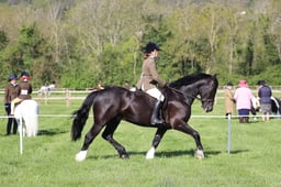 C19_0450 2026