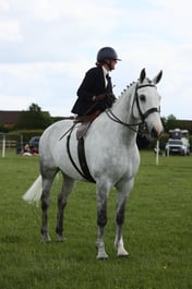 24 Side Saddle Classical Ladies