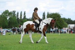 H36_8620 2026