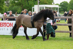 S29_0786 2026