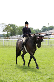 C34_2214 2026