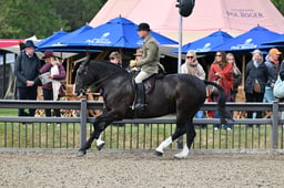 A29_1074 2026