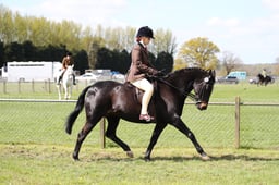 38-36 SSADL Ridden Championships