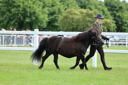 Z41_0564 2026