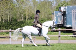 C19_1841 2026