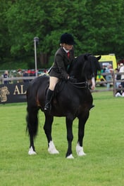 S30_3876 2026
