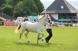 E69_1032 2026