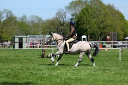M19_0453 2026