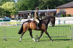 H33_3440 2026