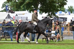 A45_2366 2026