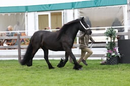 W29_0818 2026