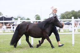 E44_0936 2026