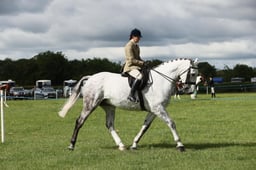 E36_0701 2026